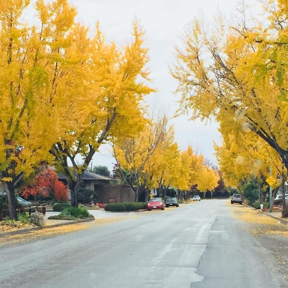 Meet your Posher, RP - Picture 1 of 1